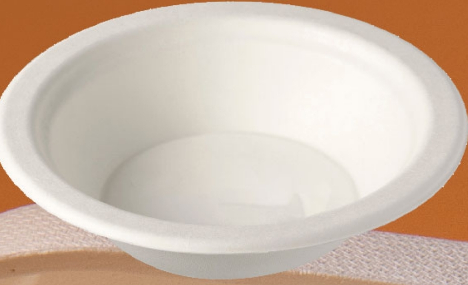 Bagasse Bowl