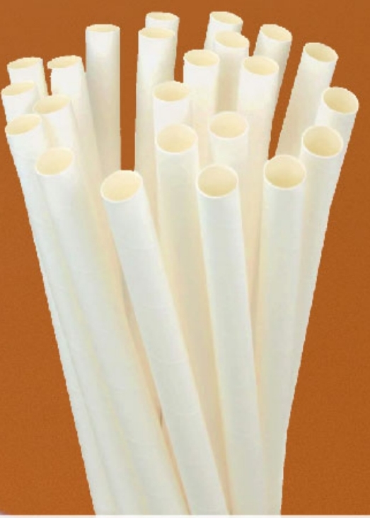 Bagasse Straw