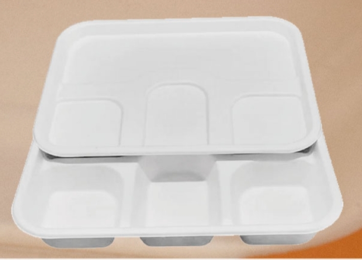 Meal Tray with Lid